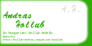 andras hollub business card